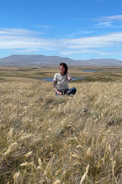 malvinas 4