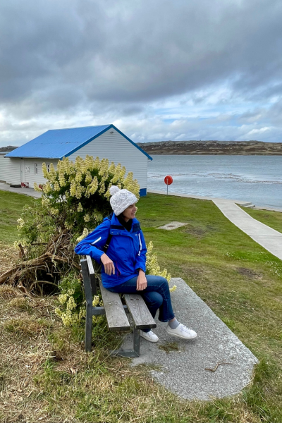 malvinas 6